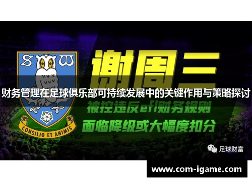 财务管理在足球俱乐部可持续发展中的关键作用与策略探讨