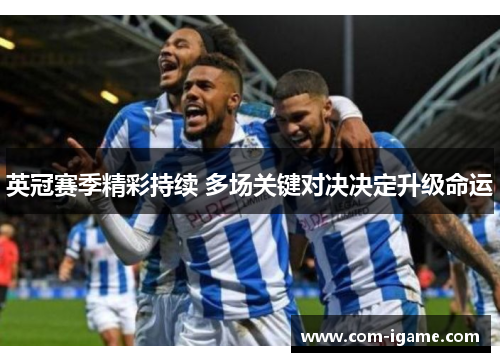 英冠赛季精彩持续 多场关键对决决定升级命运 英冠赛季精彩持续 多场关键对决决定升级命运