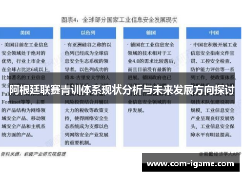 阿根廷联赛青训体系现状分析与未来发展方向探讨