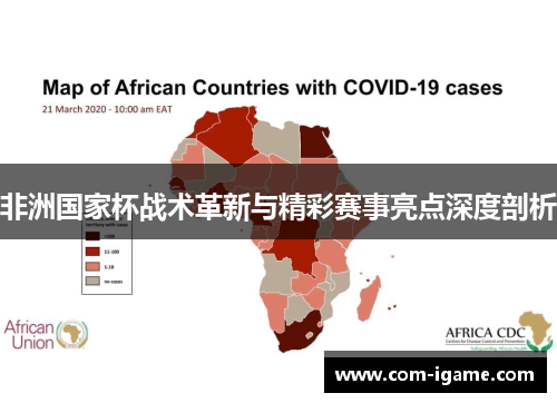 非洲国家杯战术革新与精彩赛事亮点深度剖析 非洲国家杯战术革新与精彩赛事亮点深度剖析