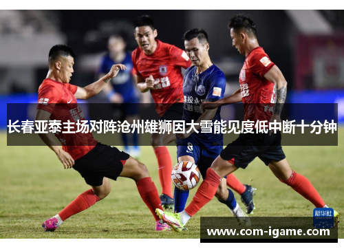 长春亚泰主场对阵沧州雄狮因大雪能见度低中断十分钟